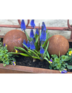 Deko Kugeln Rostkugel Ø 12 cm – Edelrost Dekokugel für Garten 
Ø 12 cm

Dekokugel aus Metall mit Edelrost-Patina, Ø 12 cm. Fü 2