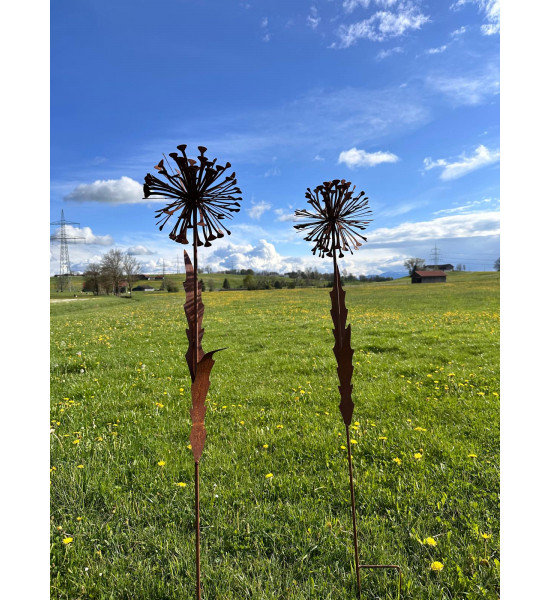 Blumenstecker Edelrost Pusteblume mit Blüte als Gartenstecker, XXL Höhe 133 cm Allium Löwenzahn Unsere Rost Pusteblume ist ein a
