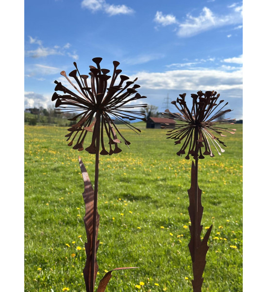 Blumenstecker Edelrost Pusteblume mit Blüte als Gartenstecker, XXL Höhe 133 cm Allium Löwenzahn Unsere Rost Pusteblume ist ein a