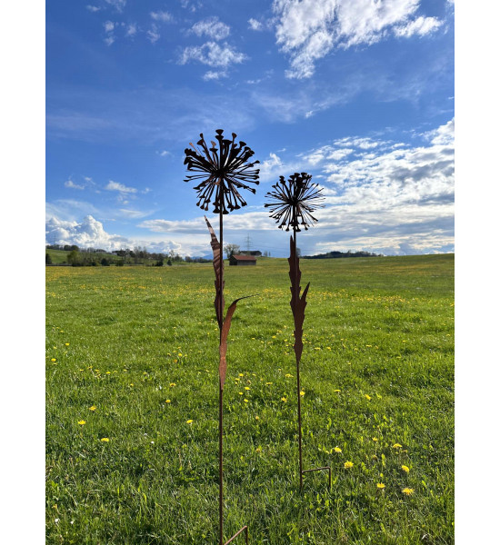 Blumenstecker Edelrost Pusteblume mit Blüte als Gartenstecker, XXL Höhe 133 cm Allium Löwenzahn Unsere Rost Pusteblume ist ein a