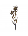 Herbstdeko Gartenstecker Edelweiß - zwei Blüten - mit Goldpunkten - Höhe 27.6 cm 
Breite 9,9 cm
Höhe 27,6 cm

Edelweiß-Steck