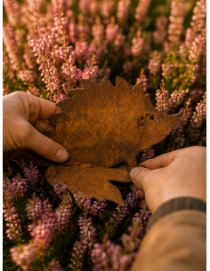 Herbstdeko Rost Igel auf Ahornblatt - Höhe 18 cm 
Höhe 18 cm
 2