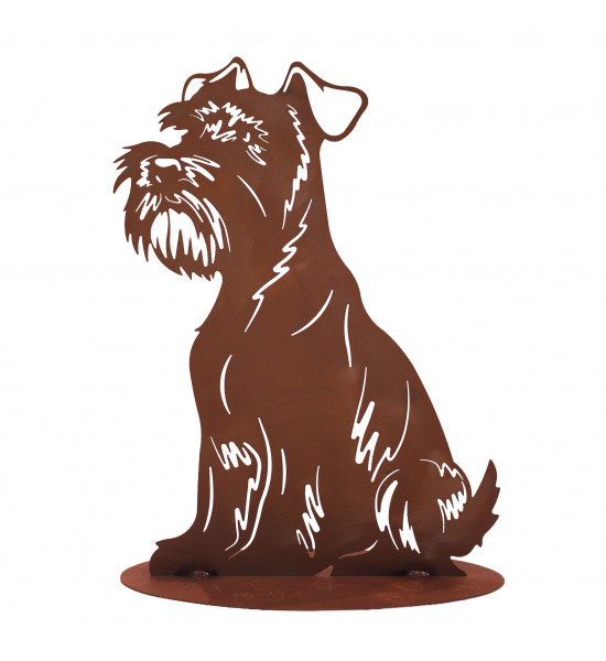 Schnauzer - Oscar - 40 cm hoch