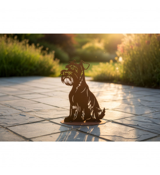 Schnauzer - Oscar - 40 cm hoch