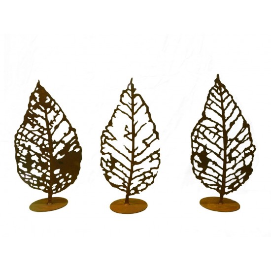 Blattgerippe 3er Set Höhe 50 cm, herbstliche Flair auf Terrasse oder Garten 