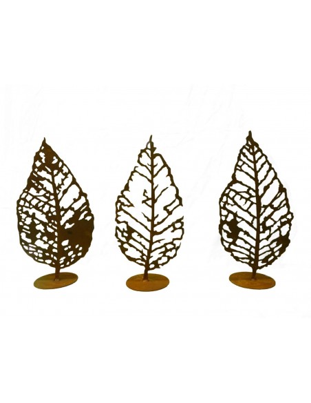 Blattgerippe 3er Set Höhe 50 cm, herbstliche Flair auf Terrasse oder Garten  Blattgerippe 3er Set Höhe 50 cm, herbstliche Flair auf Terrasse oder Garten