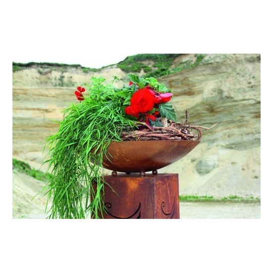 Schale Rund D: 49,5 cm Pflanztiefe 9 cm