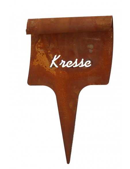 Beetstecker Kresse