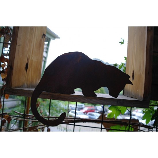 Katze für Kante nach unten schauend