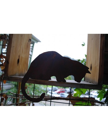 Katze für Kante nach unten schauend