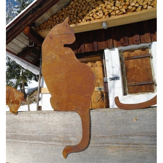 Katze für Kante von hinten