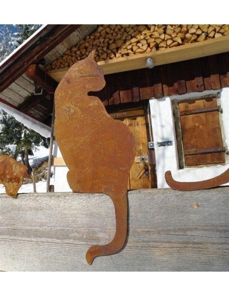 Katze für Kante von hinten