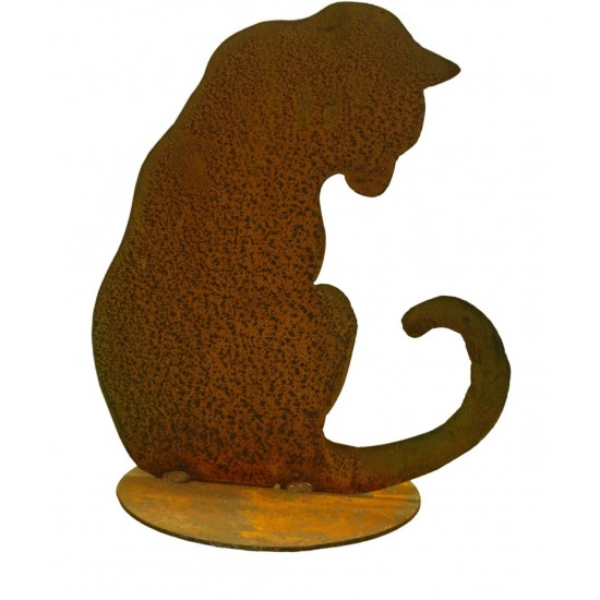 Katze nach unten schauend