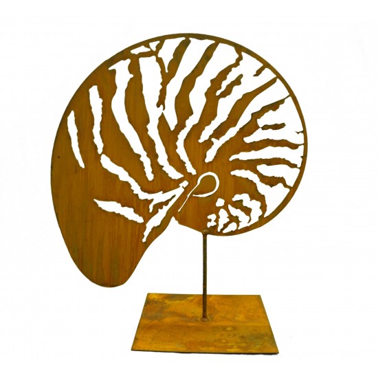 Muschel "Nautilus" groß 47-60 cm