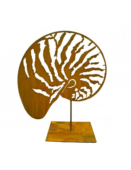 Muschel "Nautilus" groß 47-60 cm