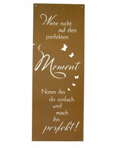 Spruch Warte nicht auf den perfekten Moment, nimm Ihn Dir einfach und mach in perfekt - Blechschild mit Spruch 2