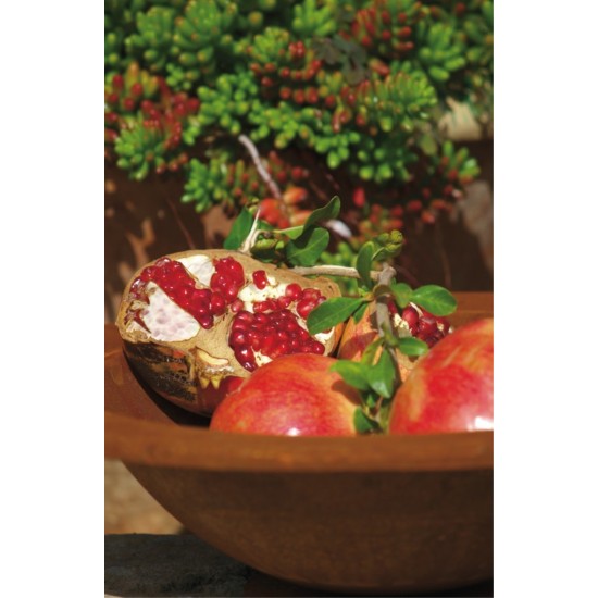 Runde Rost Schale 70 cm Ø mit 10 cm breiten Rand