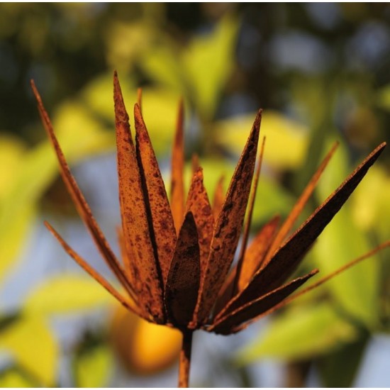 Wildflower Stecker groß - Blüte mit spitzen unregeläßigen Blüten zum Legen