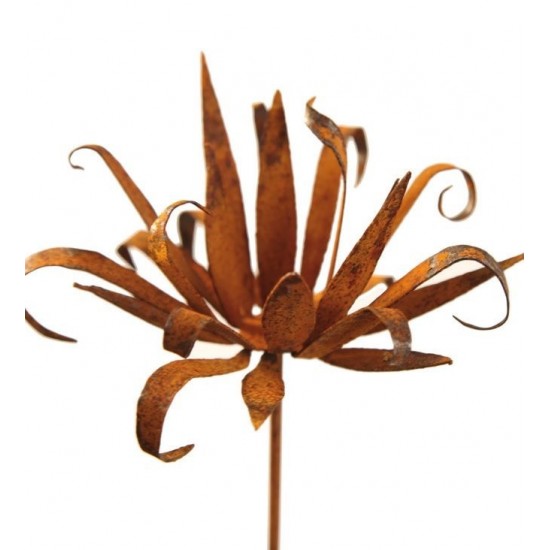 Wildflower Stecker klein - Blüte mit spitzen unregeläßigen Blüten zum Legen
