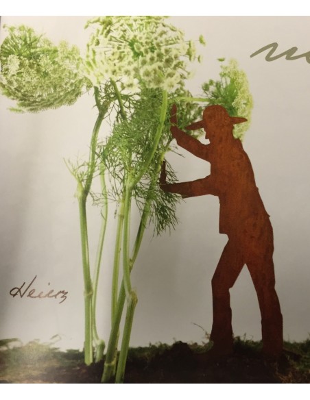 Edelrst Gärtner "Heinz" Pflanzenhalter mit SDpieß zum stecken Edelrst Gärtner "Heinz" Pflanzenhalter mit SDpieß zum stecken