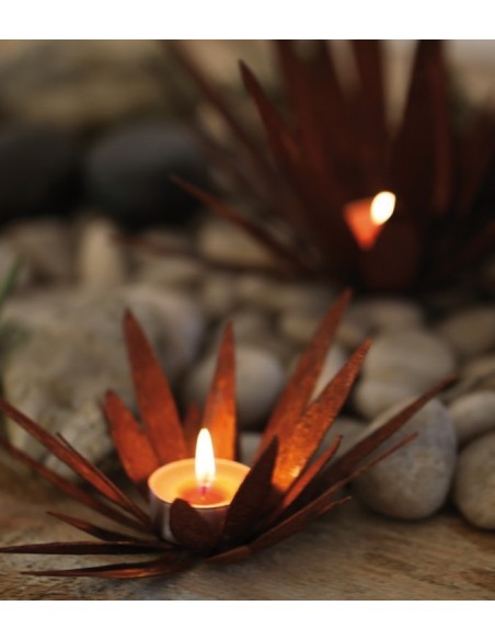 Wildflower groß - Blüte mit spitzen unregeläßigen Blüten zum Legen Wildflower groß - Blüte mit spitzen unregeläßigen Blüten zum Legen