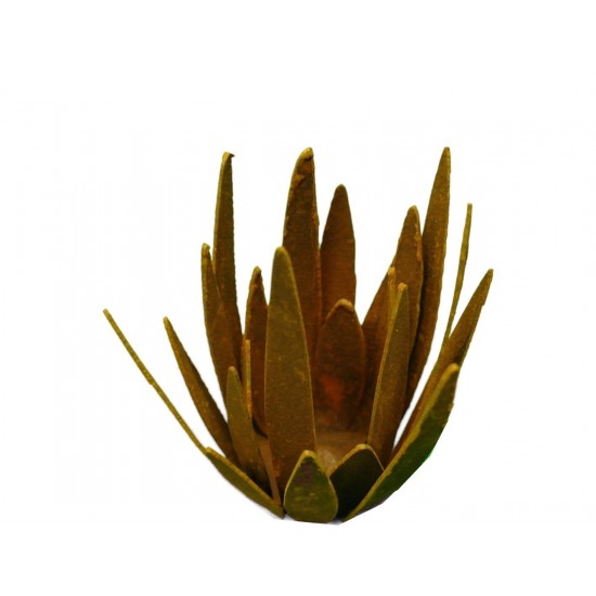 Wildflower groß - Blüte mit spitzen unregeläßigen Blüten zum Legen