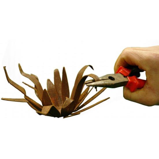 Wildflower groß - Blüte mit spitzen unregeläßigen Blüten zum Legen