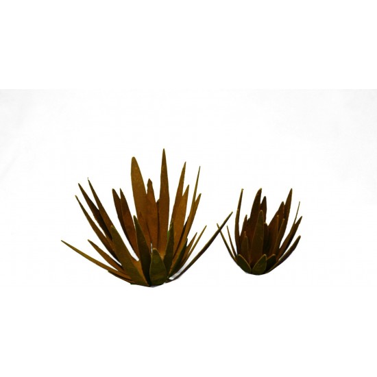 Rost Wildflower klein - Blüte mit spitzen unregeläßigen Blüten zum Legen