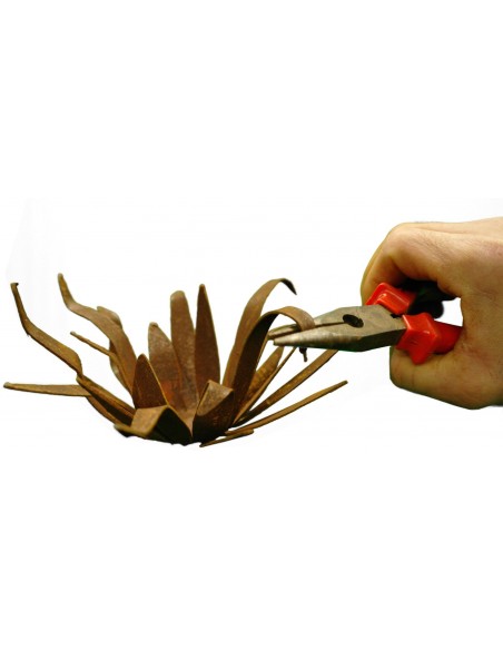 Rost Wildflower klein - Blüte mit spitzen unregeläßigen Blüten zum Legen