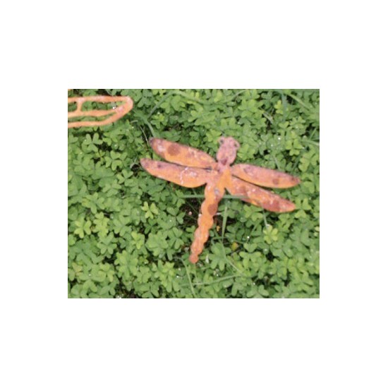 Edelrost Libelle Gr.1 zum Stecken