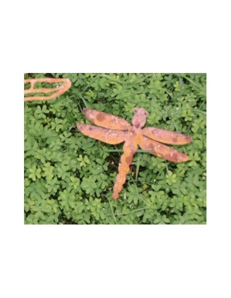 Edelrost Libelle Gr.1 zum Stecken