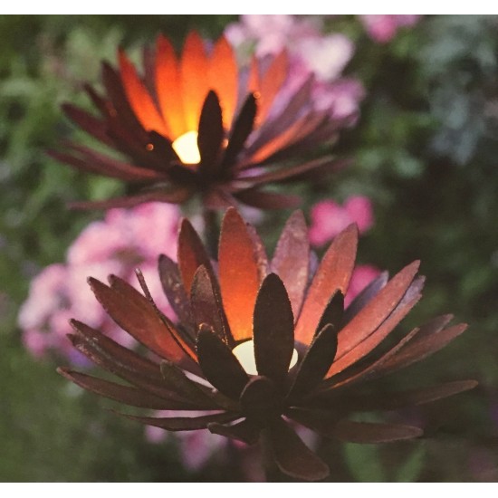 Edelrost Chrysantheme Ø 25 cm auf 100 cm Stab