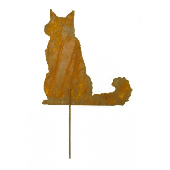 Maine Coon sitzend, zum Stecken