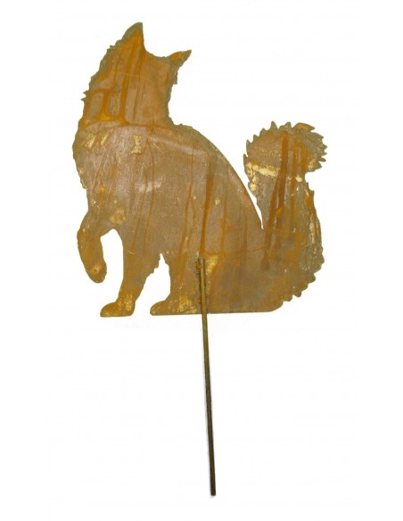 Edelrost Katze Maine Coon sitzend, Schwanz nach oben, mit kurzem Stab