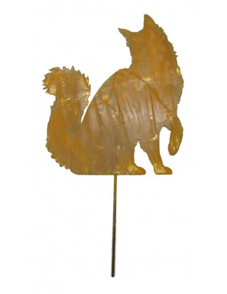 Edelrost Katze Maine Coon sitzend, Schwanz nach oben, mit kurzem Stab