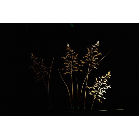 Gras Raumteiler 120 cm breit mit Ausschnitten auf beiden Seiten H 100 cm T 20 cm