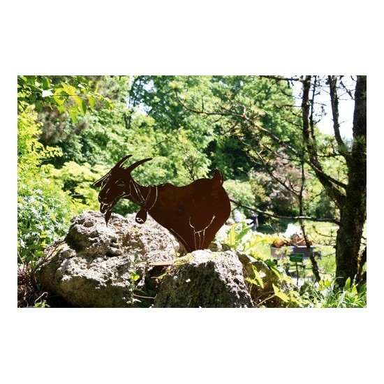 lustige Rost Ziege mit Glocke - groß - 59 cm hoch