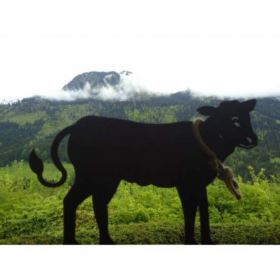 Rost Kalb mittel 55 x 40 cm auf Stangen