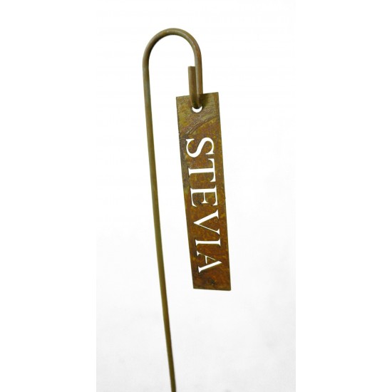 Stevia selber anbauen Kräuterschild