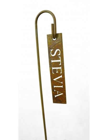 Stevia selber anbauen Kräuterschild