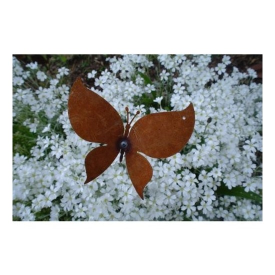 Schmetterling vor einer Staude als Deko