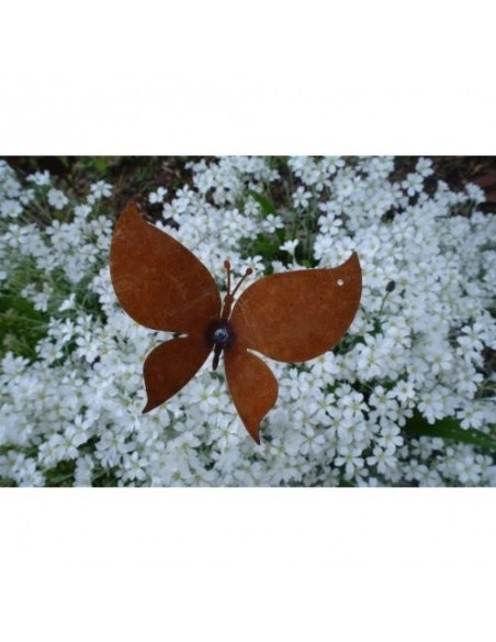 Schmetterling vor einer Staude als Deko