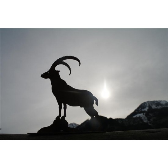 Steinbock Mini auf Platte