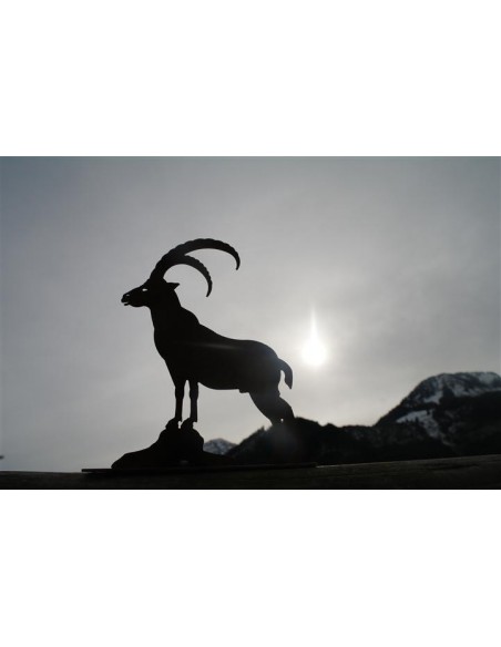 Steinbock Mini auf Platte