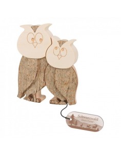 Holz eule mit Kind