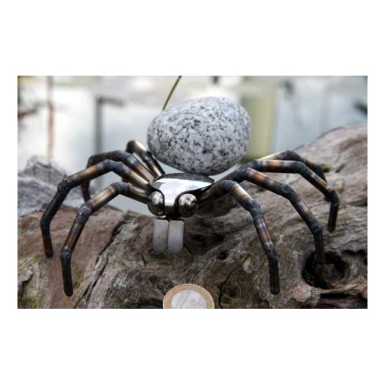 Spinne - Steintier