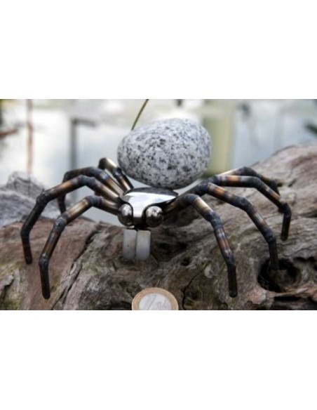 Spinne - Steintier