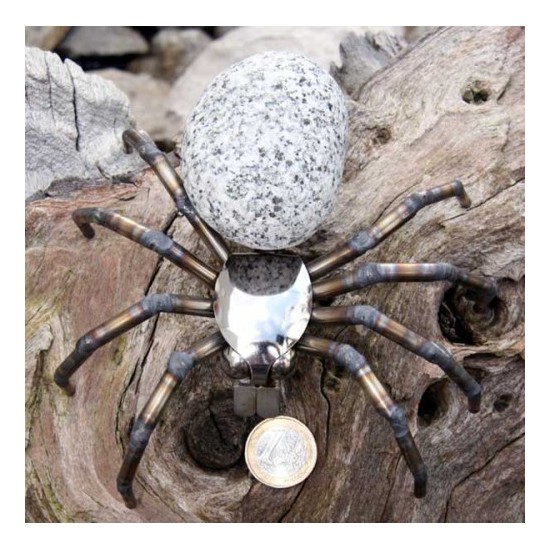 Spinne - Steintier