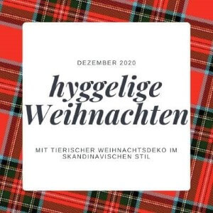 Weihnachtsdeko entdecken
