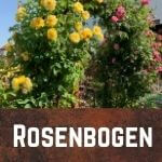 Rosenbogen kaufen